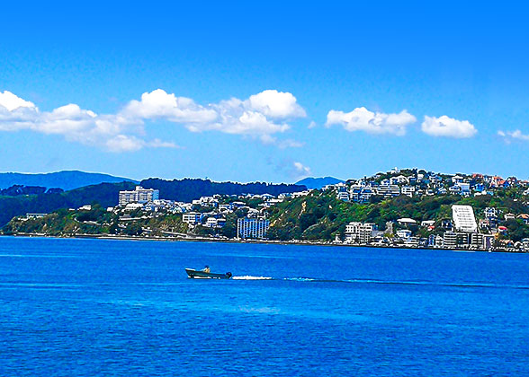 Sea View in Nice