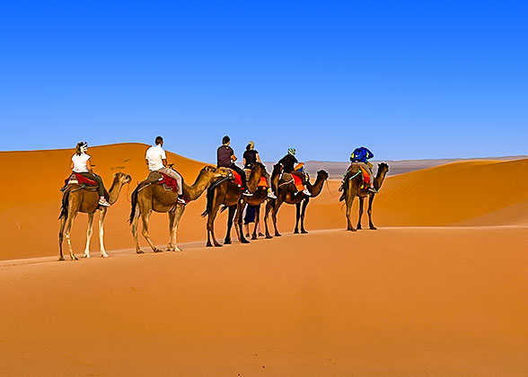 Camel Riding in Sahara Desert