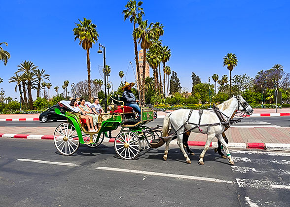 Horse-Drawn Carriage