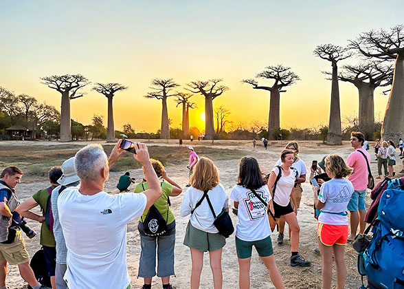 Avenue of the Baobabs tour at Sunset