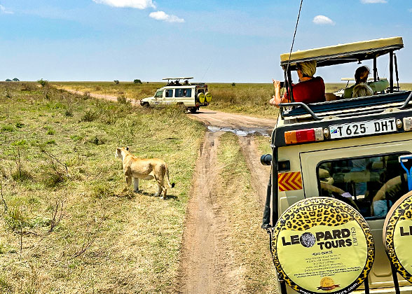 Game Drive in Tanzania
