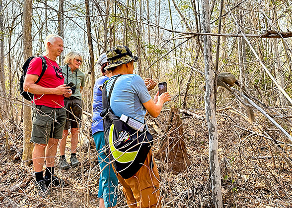 Hiking tour in the Kirindy Forest
