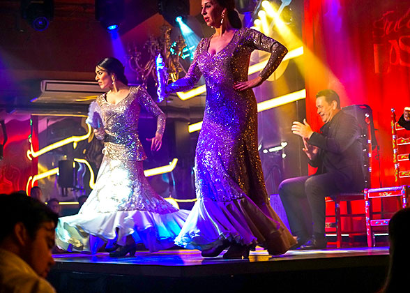 Enjoy a Flamenco Show