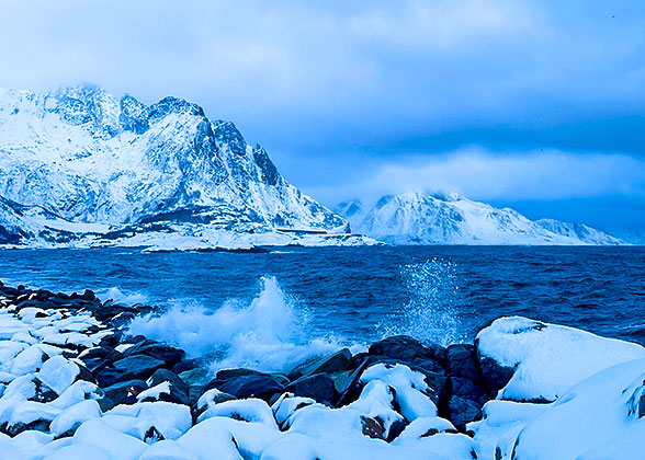 Snow Landscape in Sweden