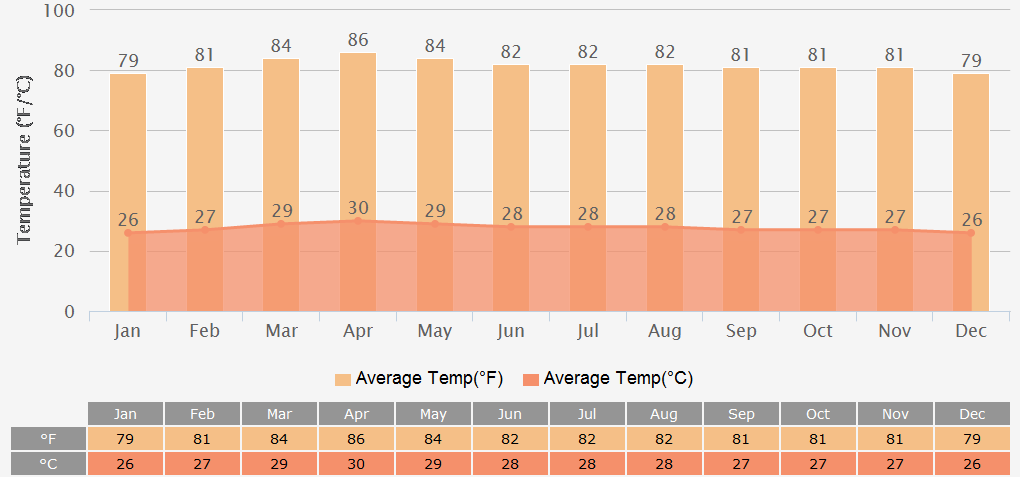 Average Temperatures Graph for Ho chi minh City