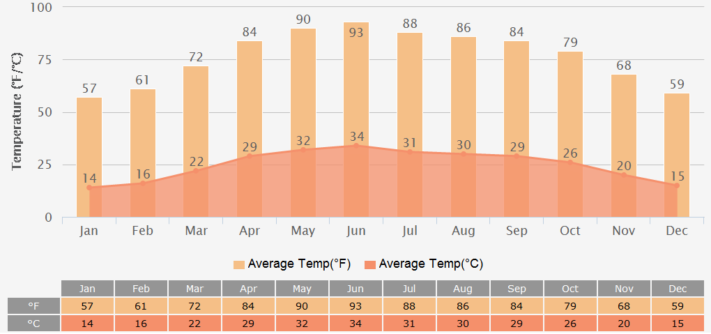Average Temperatures Graph for New Delhi